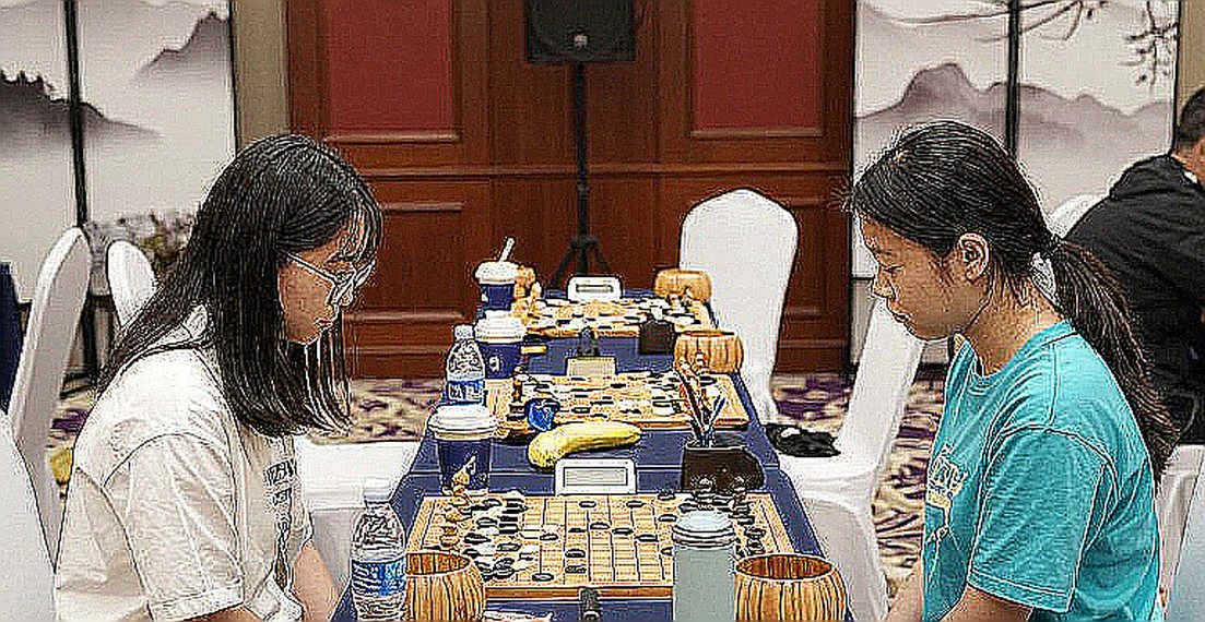 শিরোনাম বলছে FIDE সাধারণ সভা, শরীর বলছে নাজডর্ফ: একটি ভুল লেবেলের নিরীক্ষা
